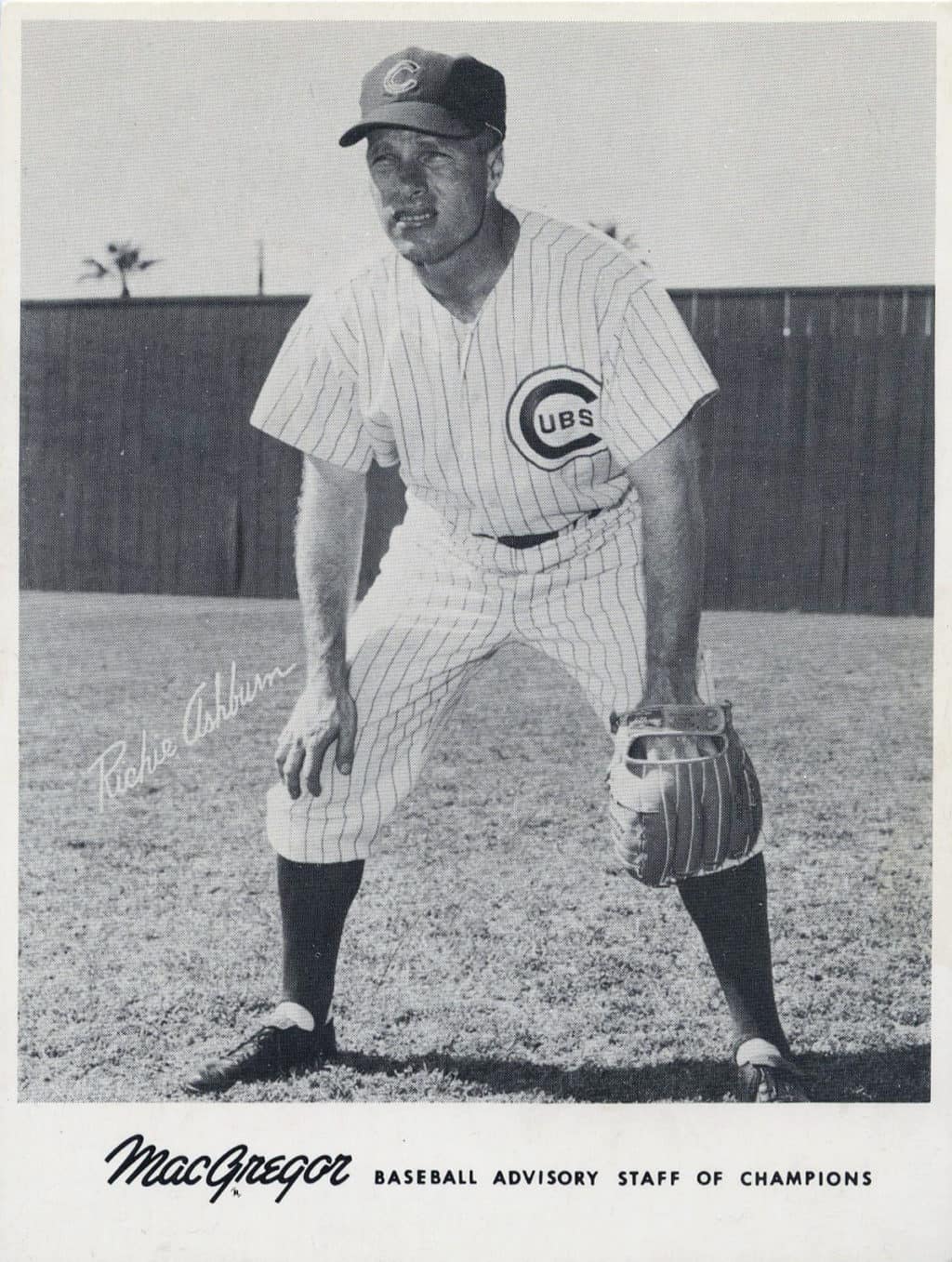 Richie Ashburn - Chicago Cubs - full hands on knees - B/W - AshburnRichie.jpg - 4x5