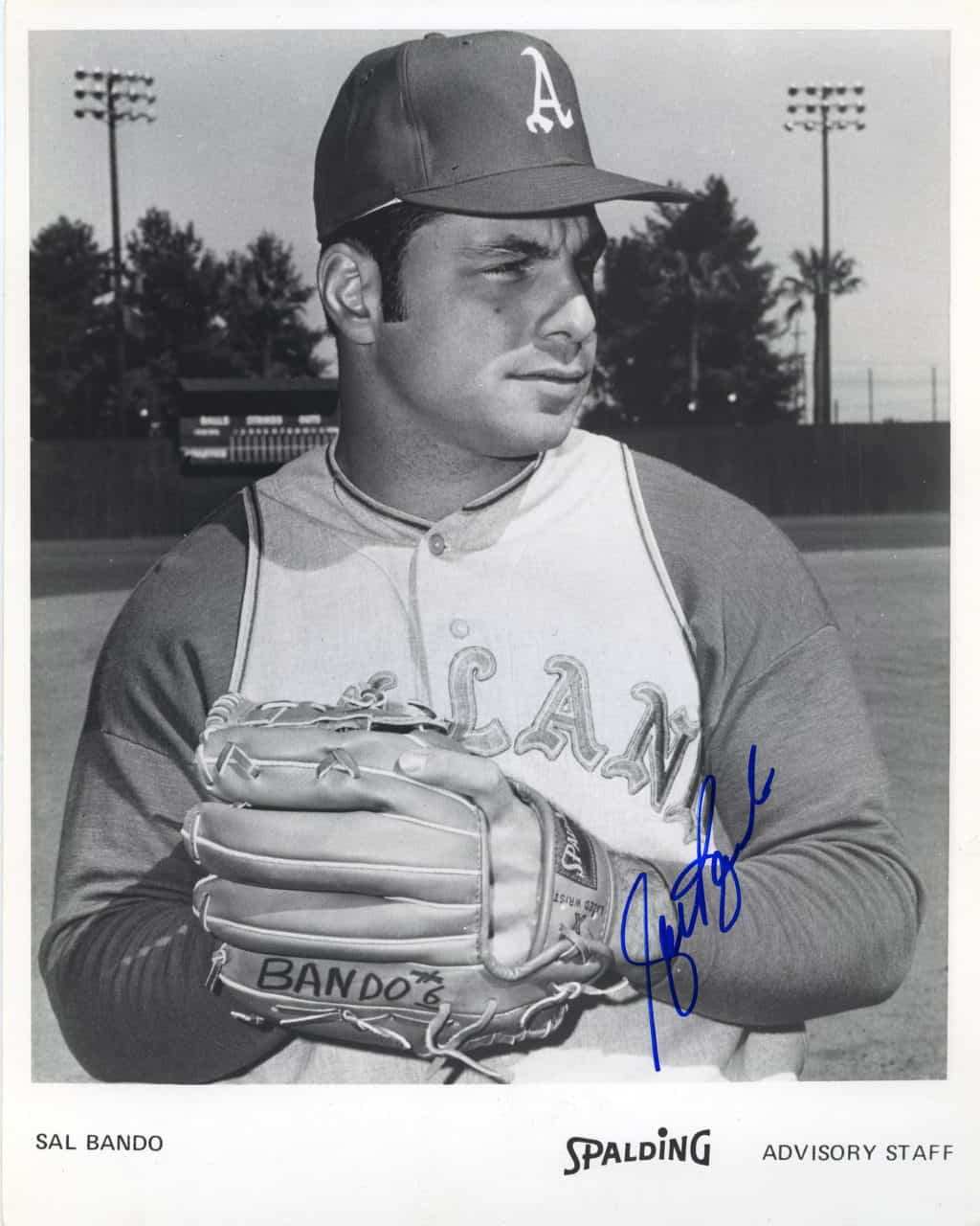 Sal Bando - Oakland Athletics - upper body - B/W - BandoSal886.jpg - 8x10