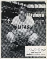 Dick Bertell - Chicago Cubs - catching crouch - B/W - BertellDick985.jpg - 8x10