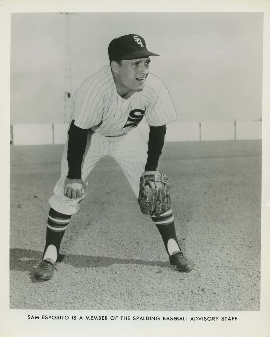 Sammy Esposito - Chicago White Sox - full body - B/W - EspositoSammy911.jpg - 8x10