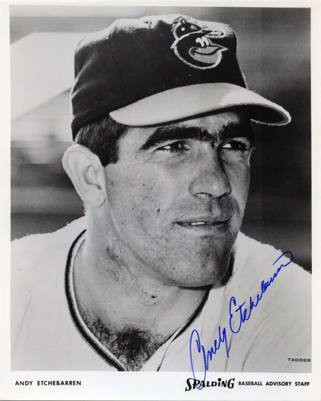 Andy Etchebarren - Baltimore Orioles - portrait - B/W - EtchebarrenAndy913.jpg - 8x10