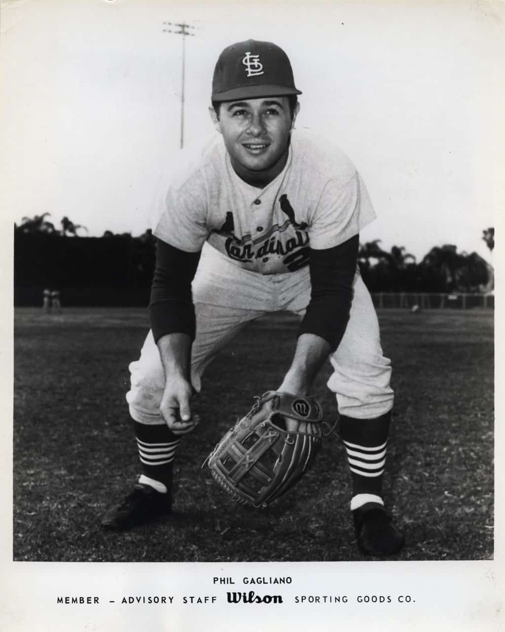 Phil Gagliano - St. Louis Cardinals - full length (Ed Spiezio) - B/W - GaglianoPhil789.jpg - 8x10