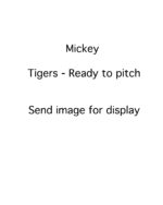 Mickey Lolich - Detroit Tigers - ready to pitch - B/W - LolichMickey.jpg - 8x10