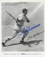 Ted Williams - Boston Red Sox - action - B/W - WilliamsTed-2868.jpg - 8x10