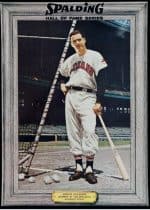 Rocky Colavito - Cleveland Indians - full length - COLOR - ColavitoRocky(11x14).jpg - 11x14