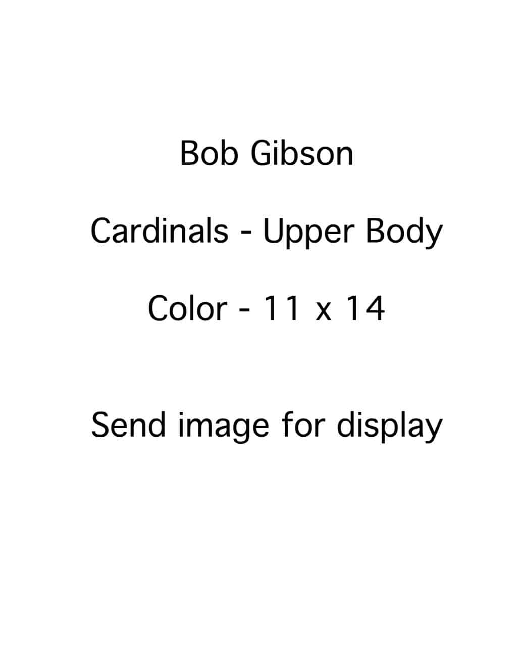 Bob Gibson - St. Louis Cardinals - upper body - COLOR - GibsonBob-11x14.jpg - 11x14