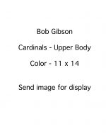 Bob Gibson - St. Louis Cardinals - upper body - COLOR - GibsonBob-11x14.jpg - 11x14